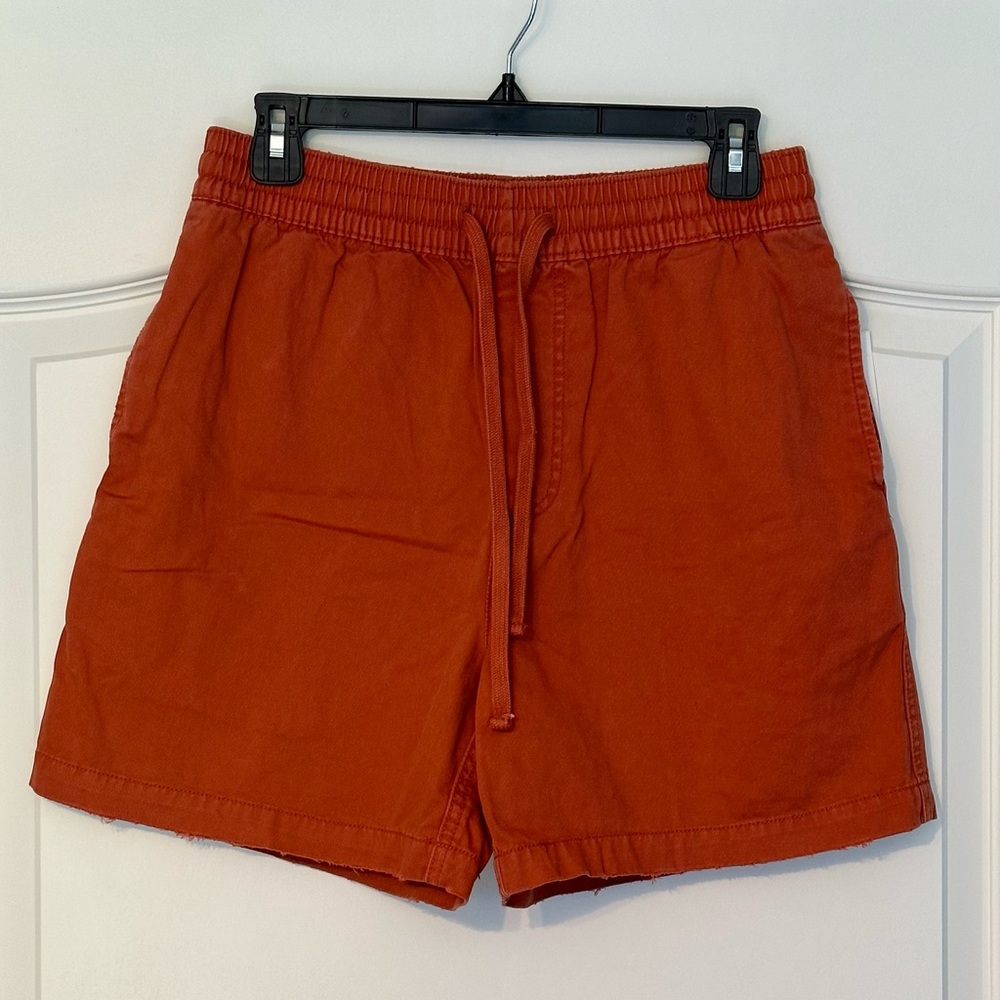 BDG ~ Urban Outfitters ~ Washed Out 5” Volley Shorts ~ Size S ~ Brand New